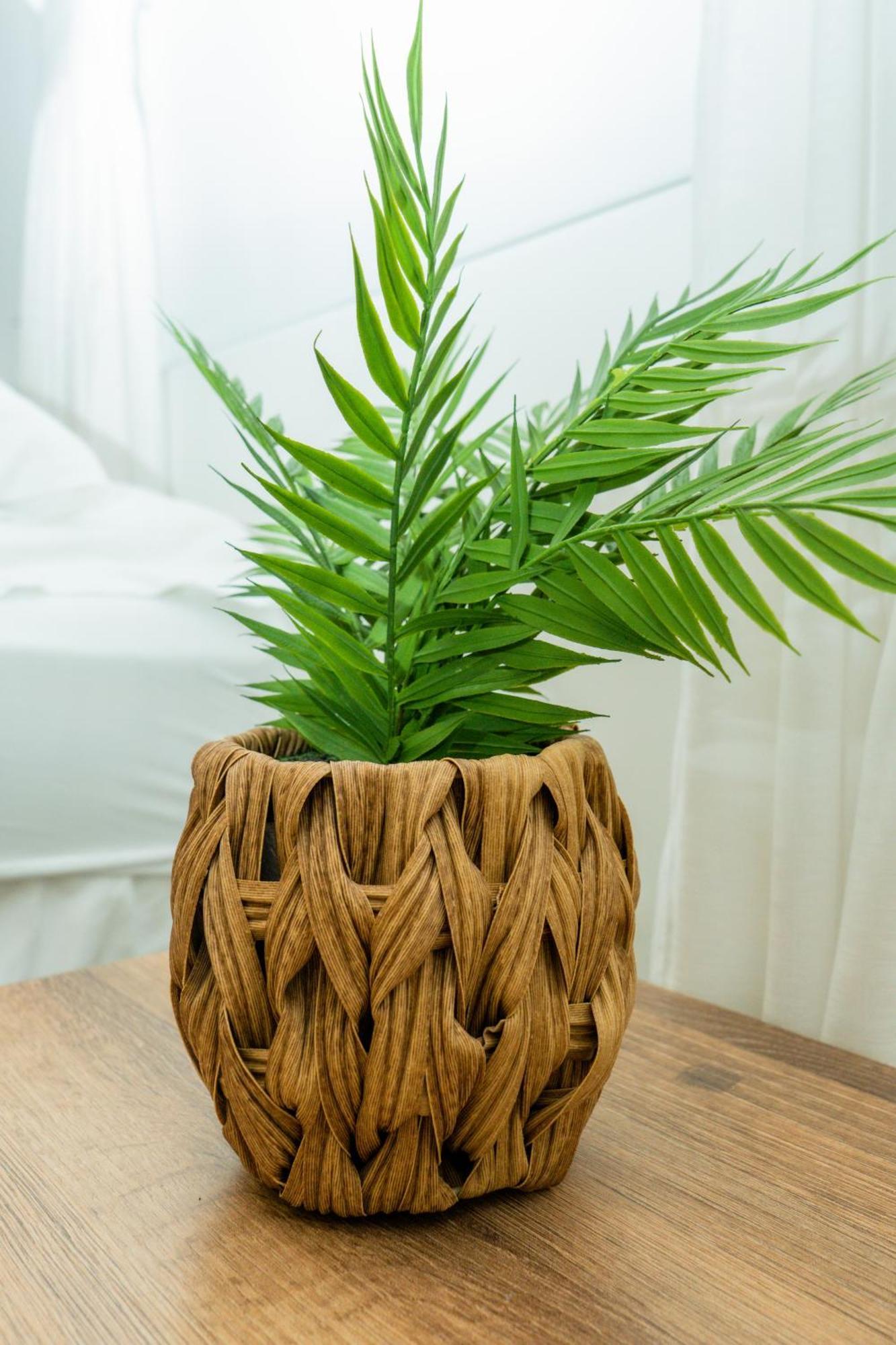 Puesta Del Sol Guest House San Andrés 외부 사진